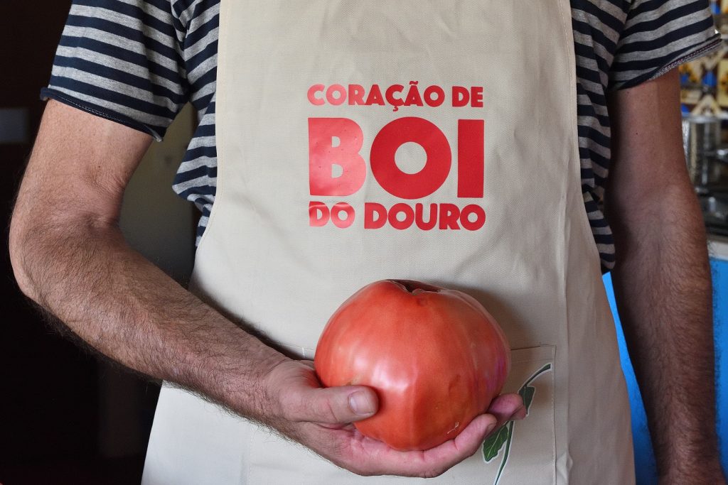Em agosto celebra-se o Tomate Coração de Boi do Douro