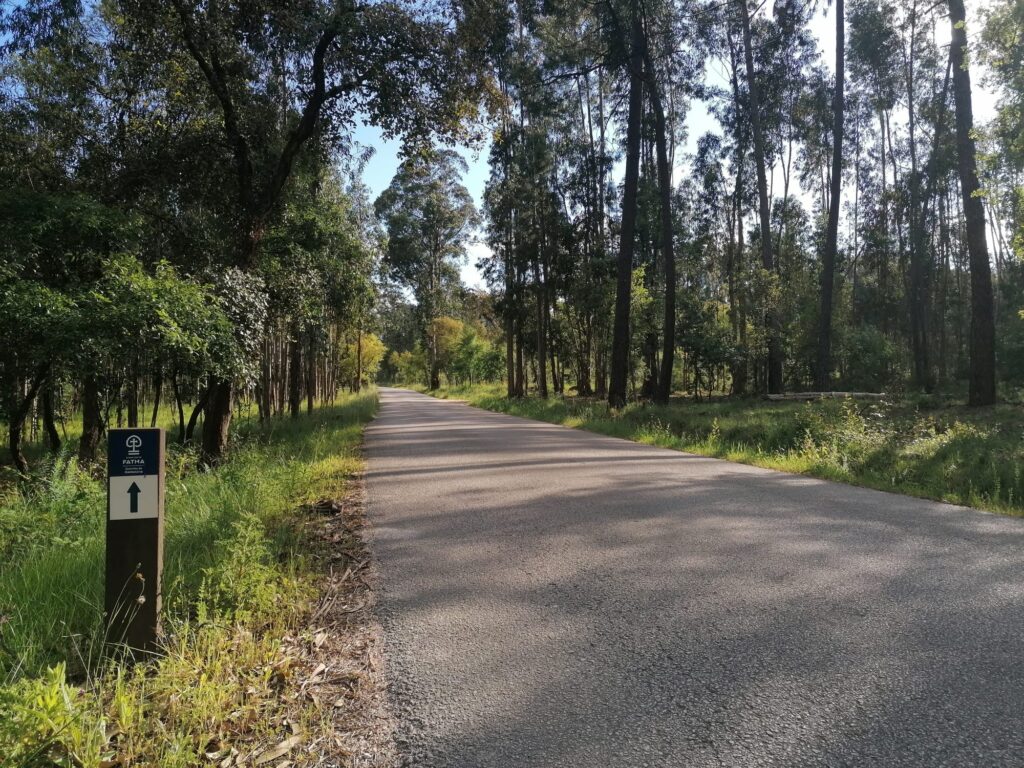 Associação Caminhos de Fátima promove Caminhos de Fé e Inspiração