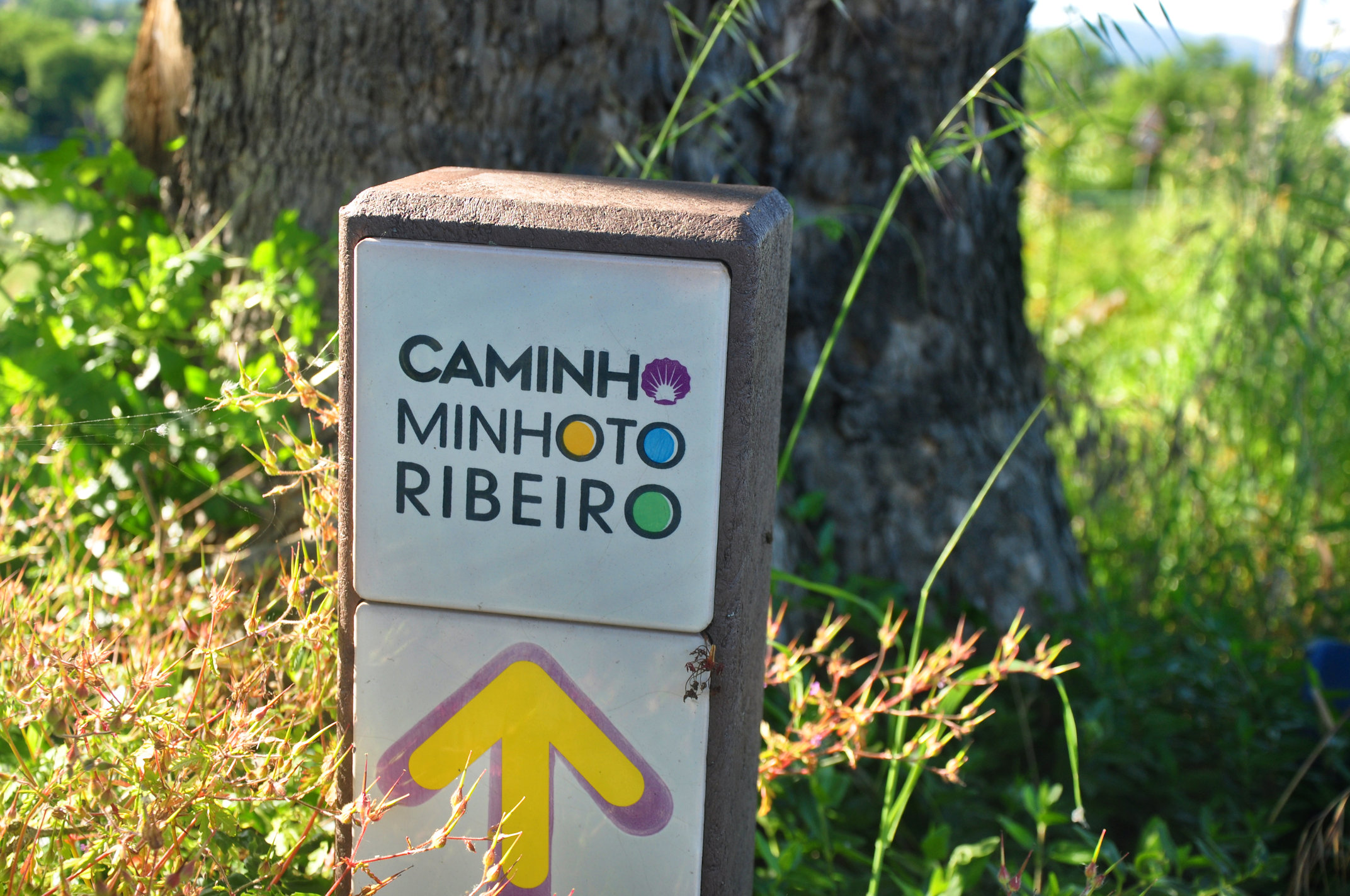 PEDRA, VINHO, MEMÓRIA E SILÊNCIO
