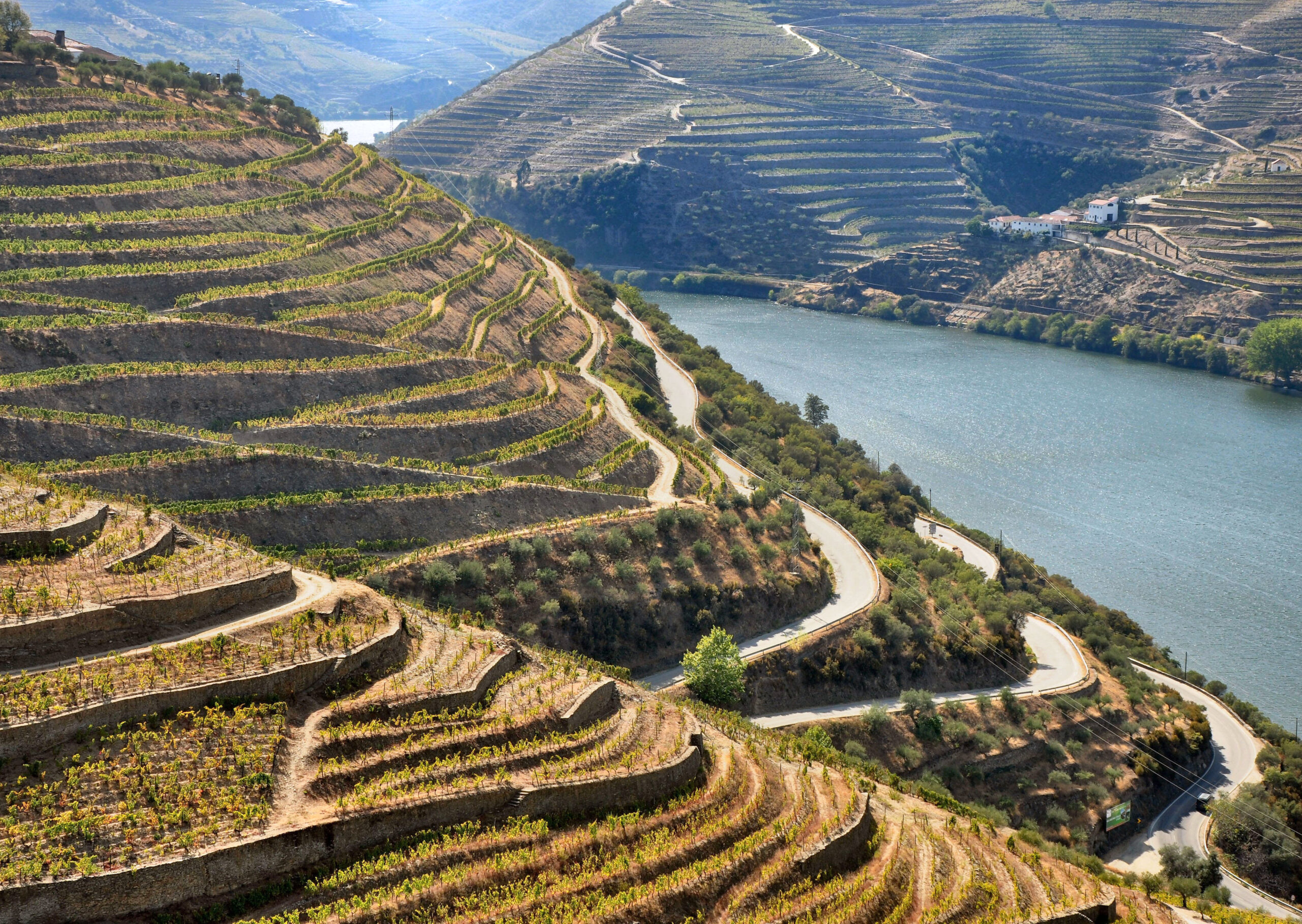 A LINHA DE ASFALTO QUE DESENHA O DOURO