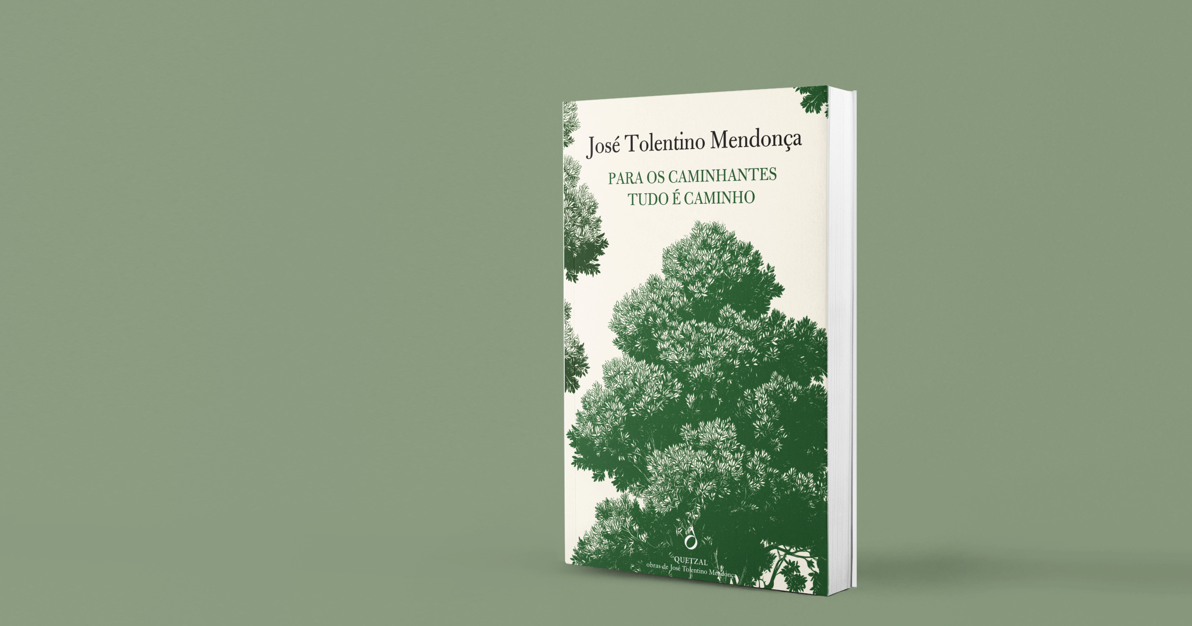 A SABEDORIA DE AMAR TUDO