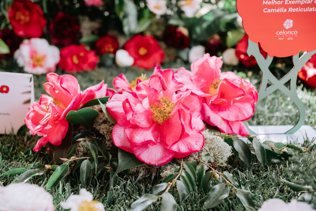 A CAPITAL DAS CAMÉLIAS VESTE-SE DE ESPLENDOR DE 13 A 15 DE MARÇO