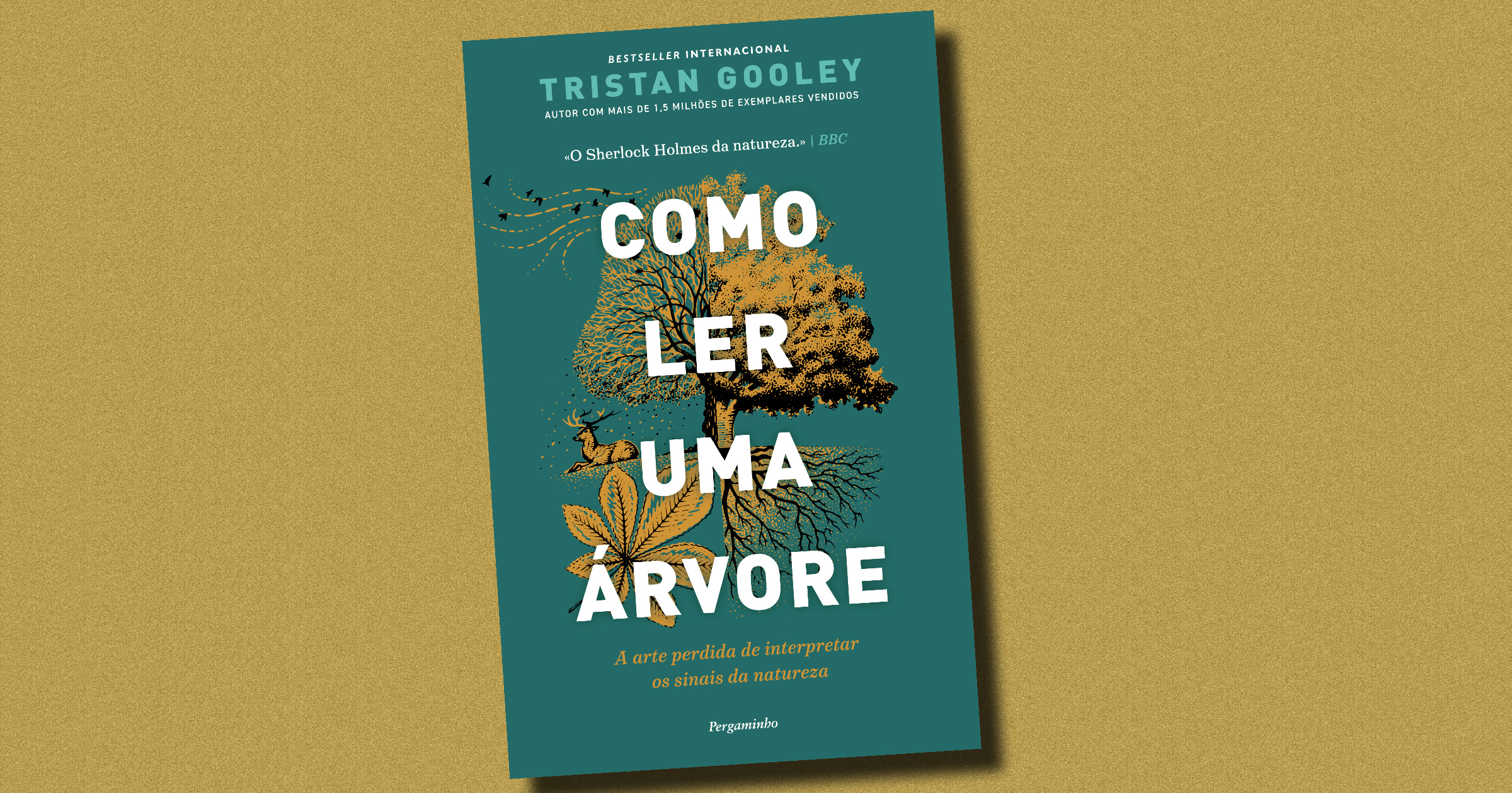 AS ÁRVORES SABEM ONDE FICA O SUL