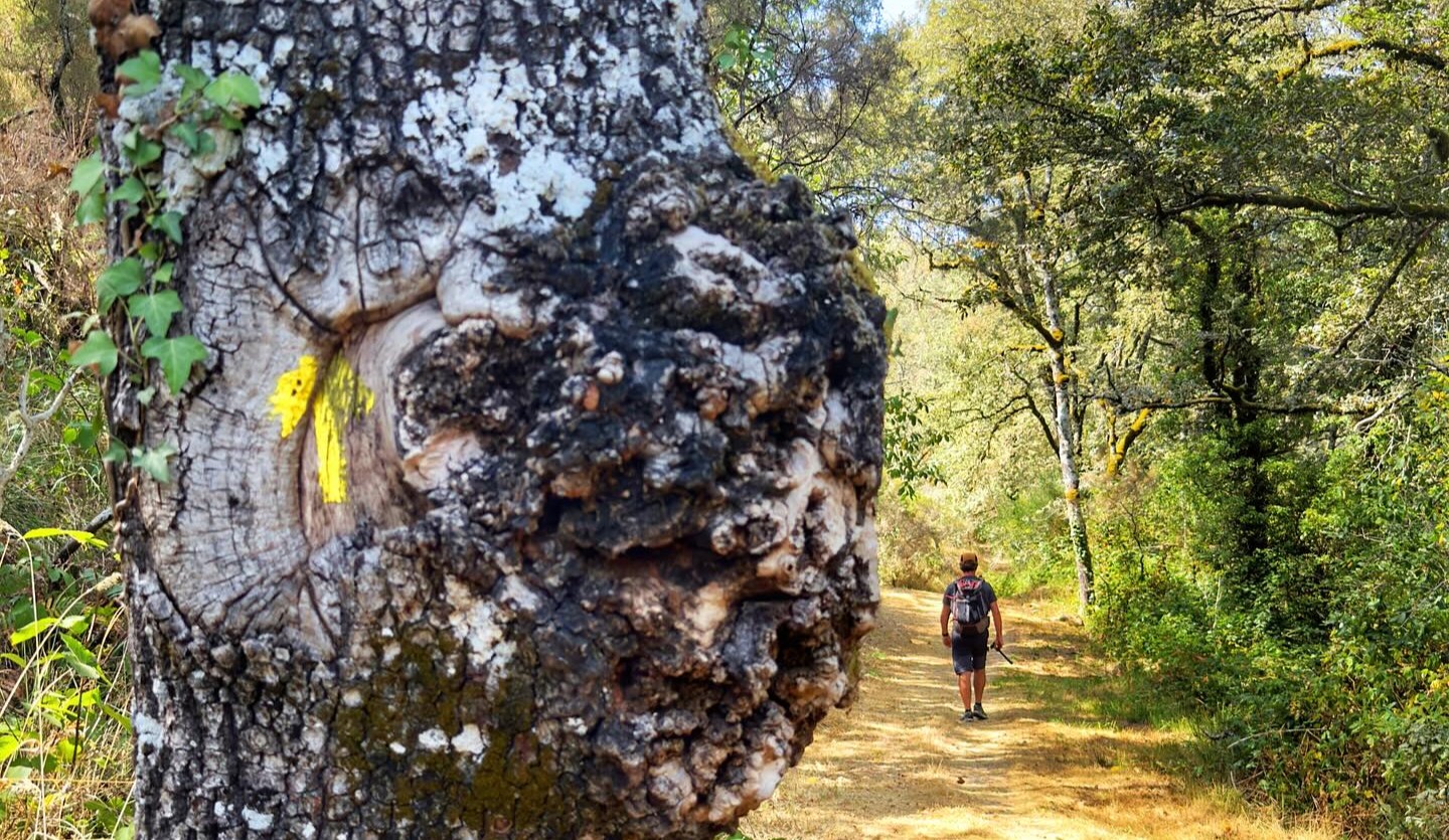 GALIZA PREMEIA A PRESERVAÇÃO DO TROÇO PORTUGUÊS DO CAMINHO DA GEIRA