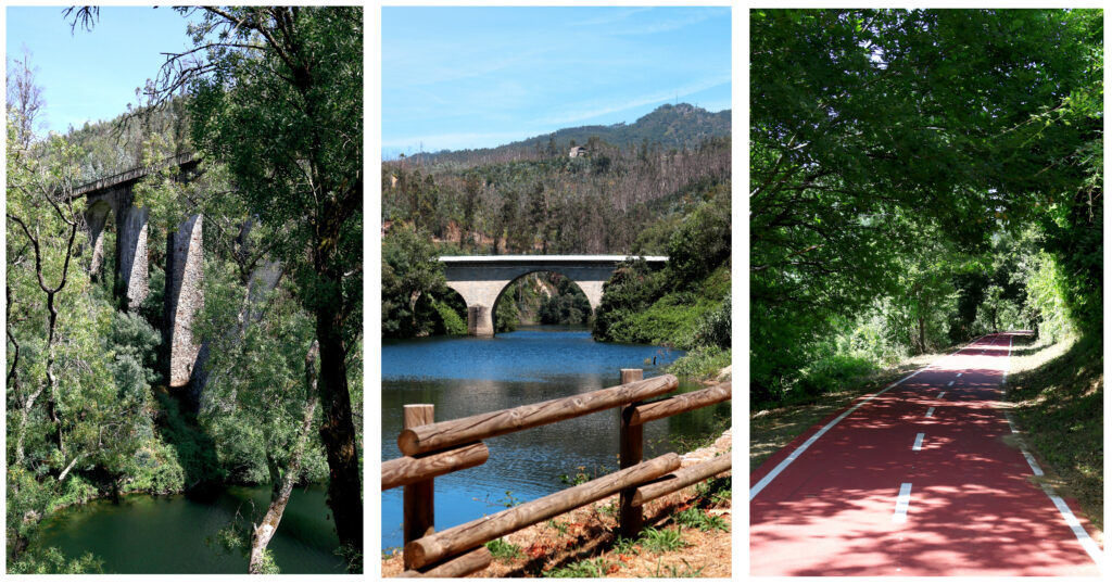 SEVER DO VOUGA: UMA EXPERIÊNCIA AUTÊNTICA ENTRE O VERDE E A ÁGUA